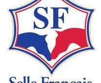 Création du label « Selle Français Originel »